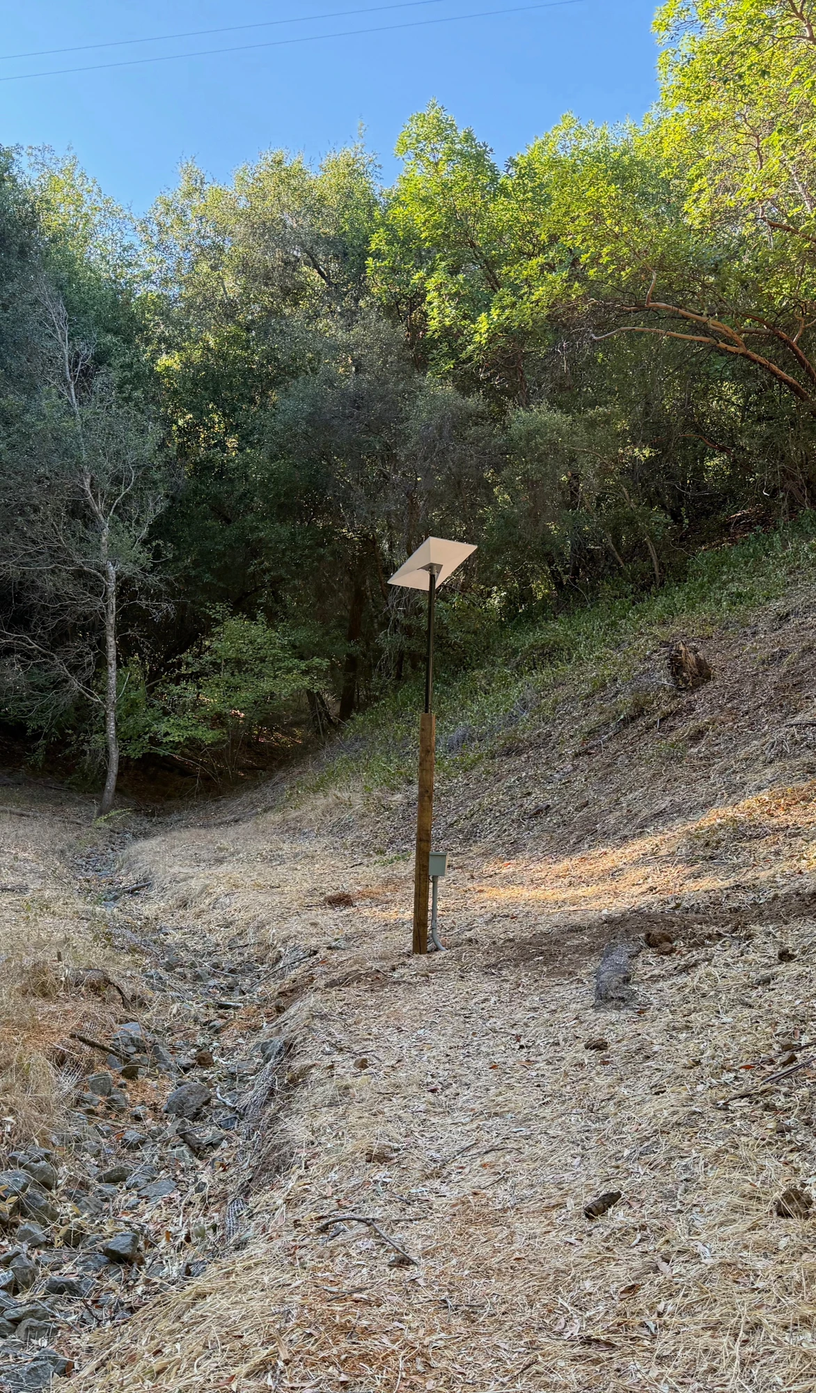 Complete pole-mounted Starlink installation in a wooded clearing
