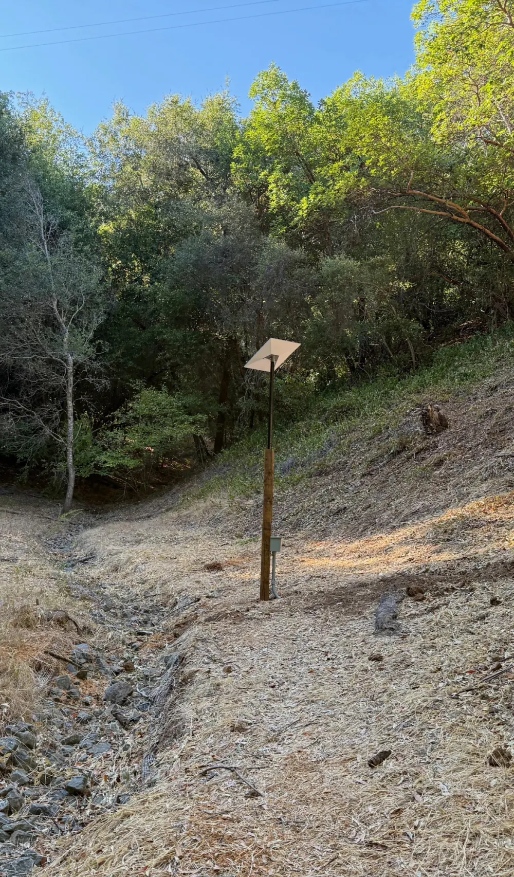 Complete pole-mounted Starlink installation in a wooded clearing